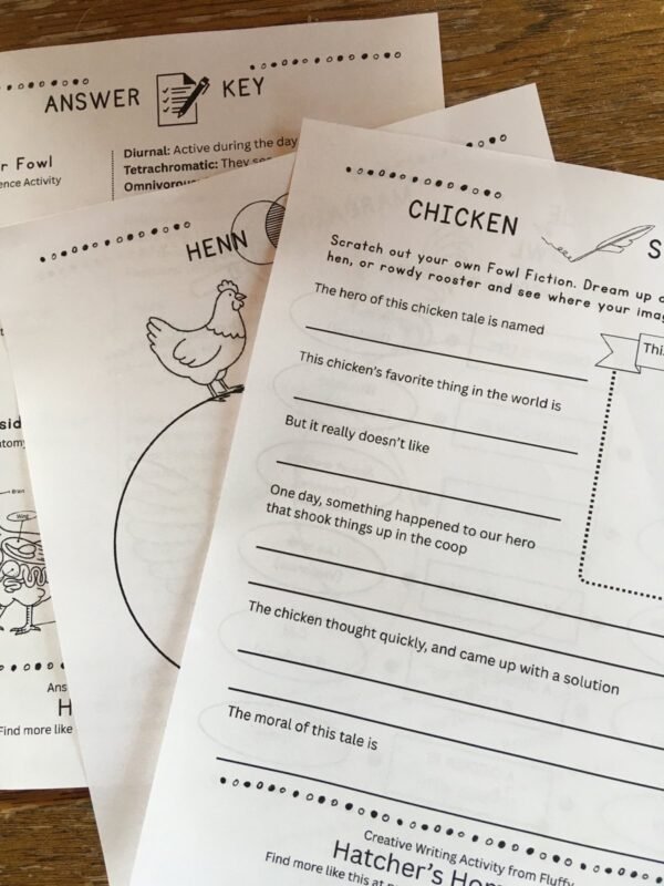 Hatcher's Homeschool Activity Sheets Set 2
