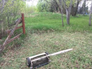 Chicken coop site prep