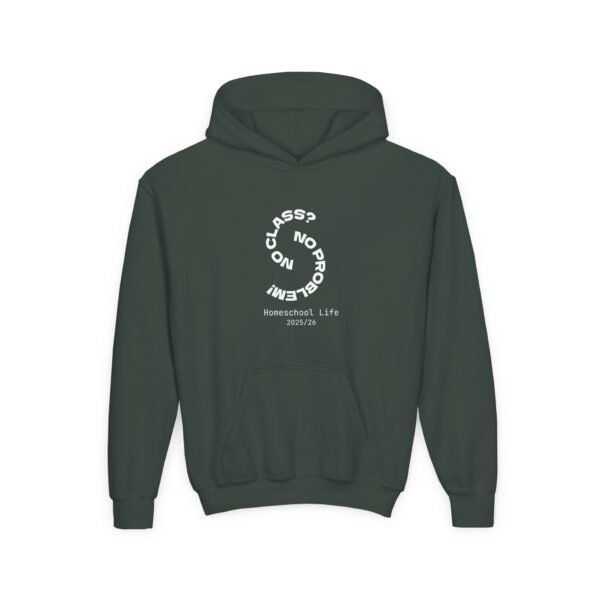 No Class, No Problem? Homeschool Hoodie - Image 8