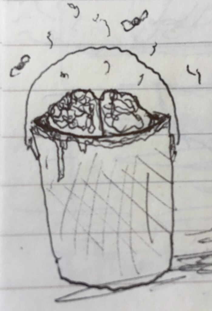Brain bucket